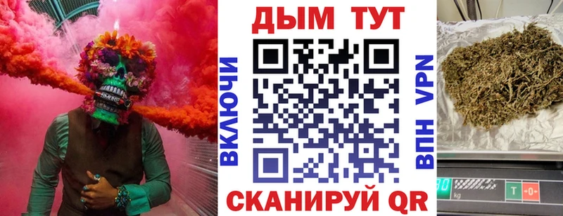 Бошки Шишки план  Купить где  Пучеж 